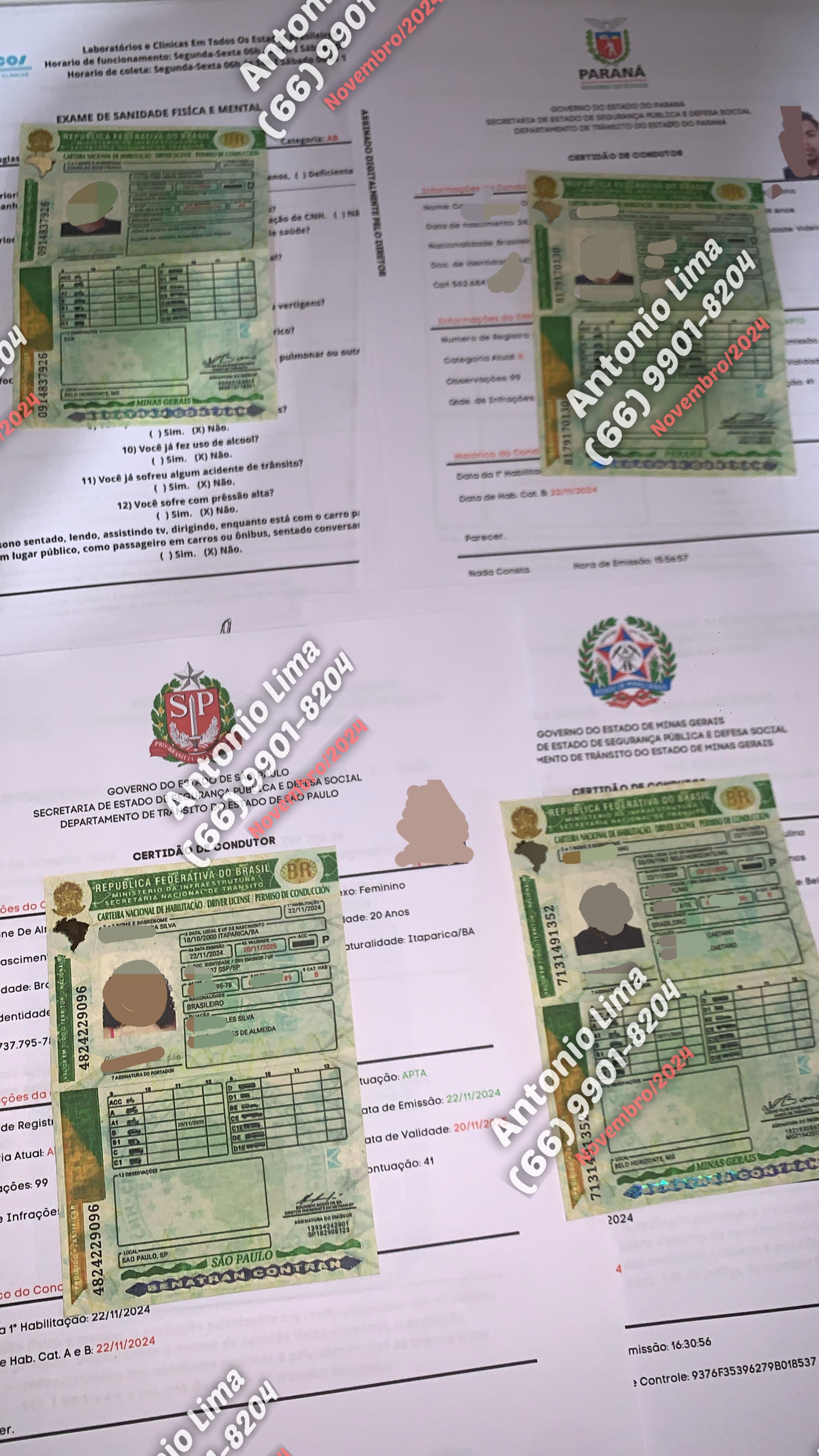 Capa de Novembro De 2024