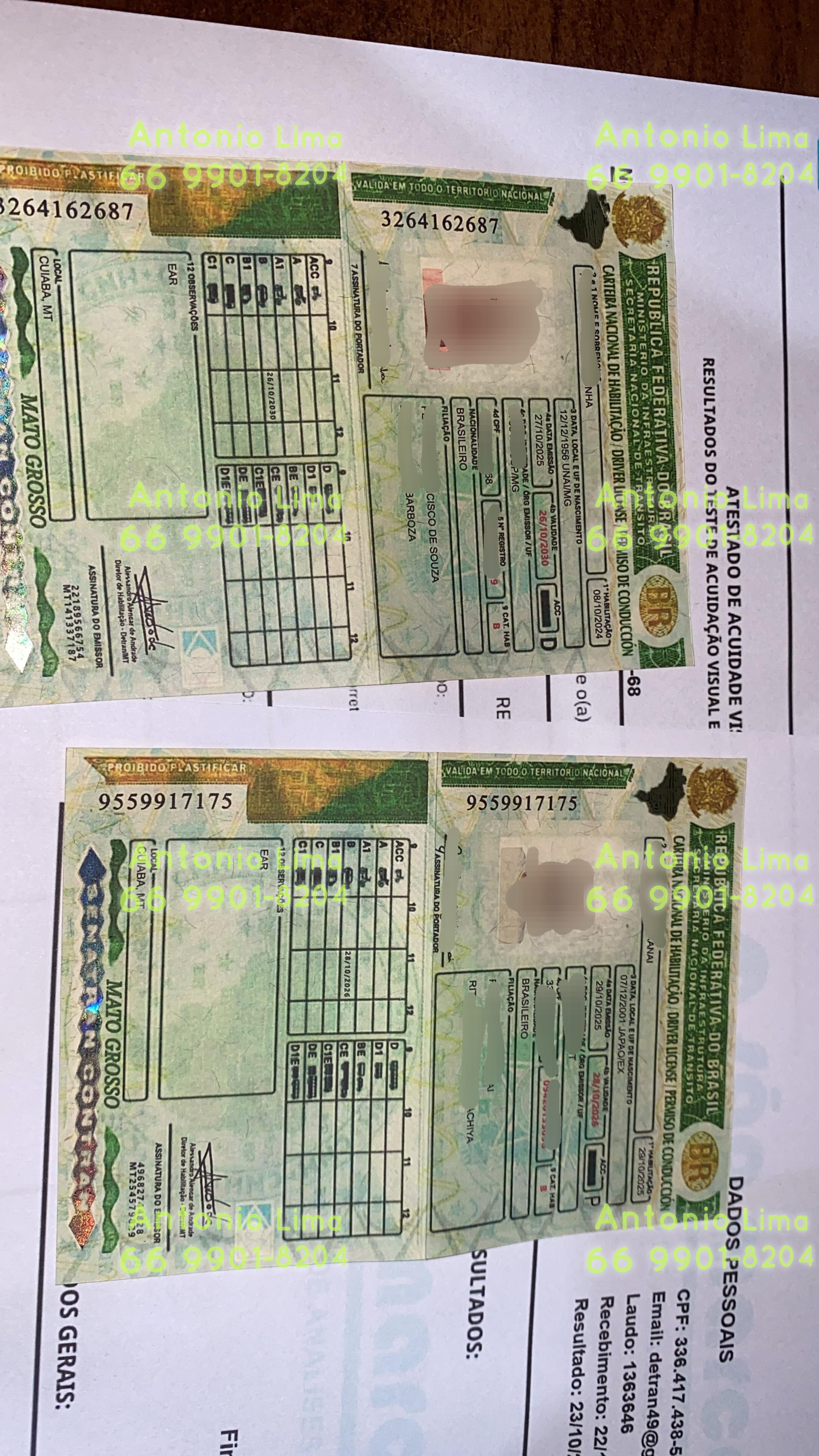 Capa de outubro de 2025